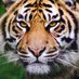 Fierro (@fierro_2000) Twitter profile photo Fierro (@fierro_2000) Twitter profile photo