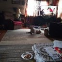 Nina Webster - @ninawebster1955 - Twitter