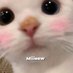 Nina (@miiiyaae) Twitter profile photo Nina (@miiiyaae) Twitter profile photo