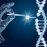 GeneInvesting's profile picture. Your source for the latest #Science and #Biotech news. If you're interested in #CRISPR #GeneEditing hit follow! Spaces podcast host🎙- all 31 episodes ⬇️