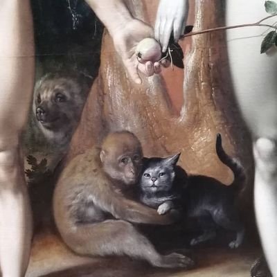 Pluto44392641's profile picture. 