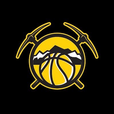 Elite skill developmental & travel basketball program based in Dahlonega, Georgia. 📧: GoldRushHoops@gmail.com