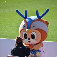 ぴかりん (@4q1121) 's Twitter Profile Photo ぴかりん (@4q1121) 's Twitter Profile Photo