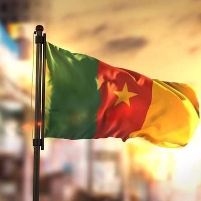 TheCameroonianZ Profile Picture