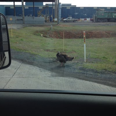 geraldb33041873's profile picture. 