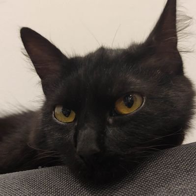 tebaroca's profile picture. 