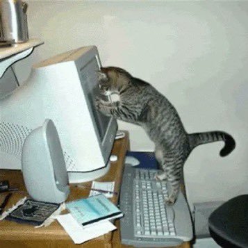 rxnyie's profile picture. 