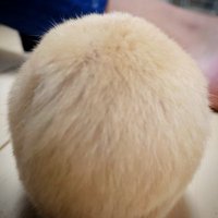 塞翁が馬 (@whateverwil1be) 's Twitter Profile