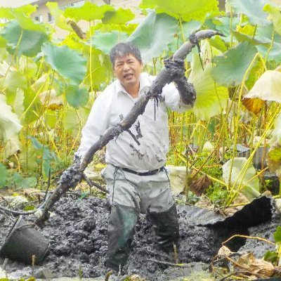 大阪府の門真市で種から門真れんこんを育て、それを使用した飲食店を経営。たくさんの人に元祖門真蓮根の美味しさを知ってほしい想いからアカウントを作成。テレビ・雑誌・新聞等のメディア出演多数。春日大社に蓮根を奉納・蓮根の講演会の実施・大阪産５つの星大賞受賞・農の匠に認定・門真市農産物品評会で7回の最高賞受賞等…積極的に活動。