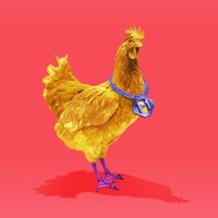 Adam Kumm (@kummadam) 's Twitter Profile