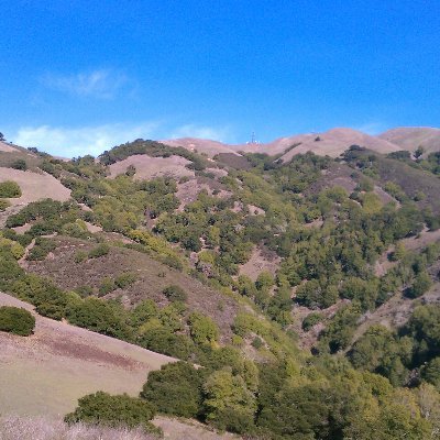 Marblefish86's profile picture. Marxist, activist, organizer, juggler, history fan