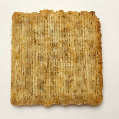 Just a Triscuit on Twitter speaking the Truth RESIST FOLLOWBACK 🇺🇸