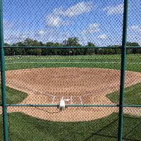 Marengo Softball (@marengosball) 's Twitter Profile