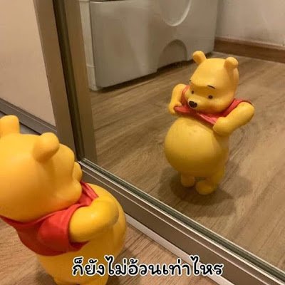 tomcatNat1's profile picture. โสด