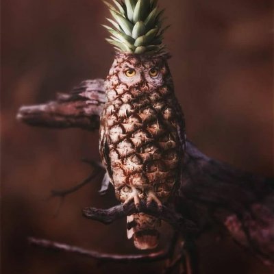 I may be slow but I am dry af
I code sometimes, most times. It's a chronic disease..
I have an obsession with pineapples