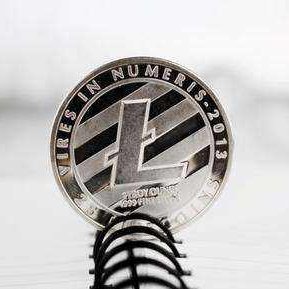 Investor in #Litecoin #LTC  ! Trader - Analyst - Stop Hunter - Entrepreneur | Addicted to  #Crypto & Charts