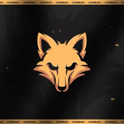CorsacEsports's profile picture. F/A • #VALORANT