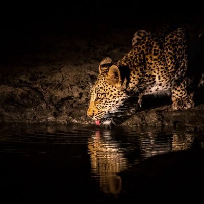 jjm3815's profile picture. Just here for the jpegs 
#NFT #GetOffMyLawn