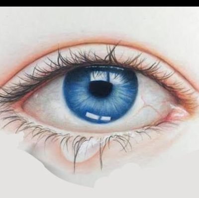 Vishalp62135797's profile picture. Hi