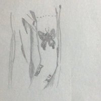 midnight (@toxtpy) 's Twitter Profile