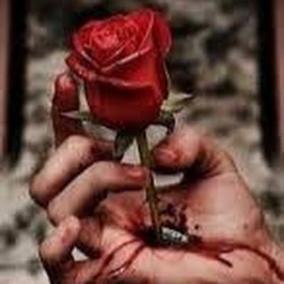 ahmed_bu23's profile picture. 