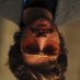 Luis Gerardo LoGar (@lglogar) Twitter profile photo Luis Gerardo LoGar (@lglogar) Twitter profile photo