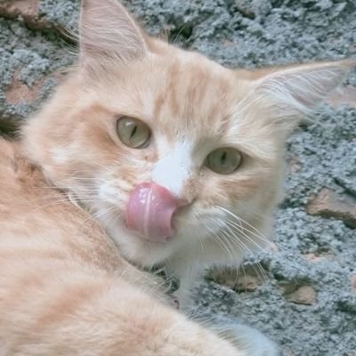 ig_nsuciwati's profile picture. Mau tau caranya bisnis online? yuk bisa klik 👇
https://t.co/VNy4sBMwpb