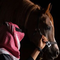 khaled alzamil (@alzamill) Twitter profile photo