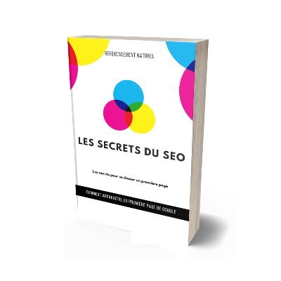 Les secrets du SEO, l'e-book qui dévolie toutes les techniques des plus grands experts SEO, et qui vous permettra d'arriver en première page de Google