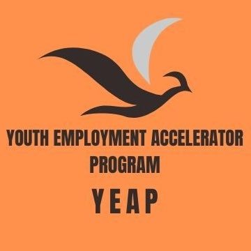 The Youth Employment Accelerator Program (YEAP) provides a digital solution that helps unemployed youths without work experience find jobs. #YEAP256