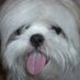 Shalen Lee (@lee_shalen) Twitter profile photo Shalen Lee (@lee_shalen) Twitter profile photo