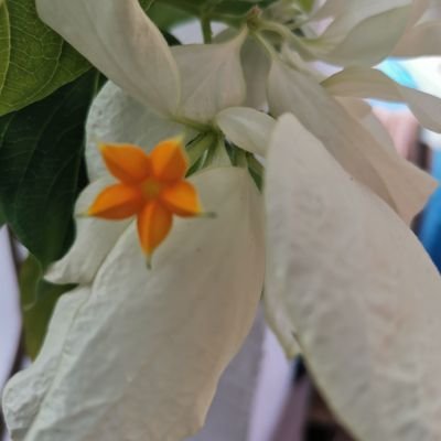 luna12388396951's profile picture. 