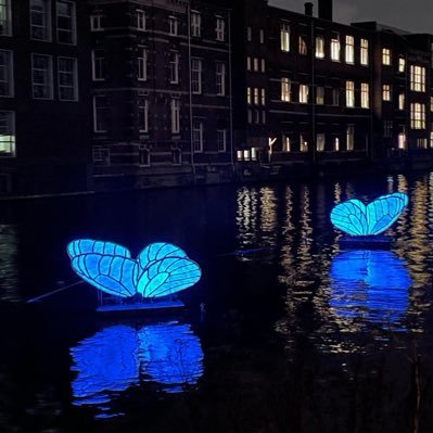 Aimee84150361's profile picture. 