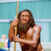 Neanderthal Museum(@Neandertal1) 's Twitter Profile Photo