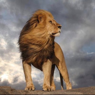 84rajkirannaik's profile picture. India