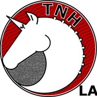 Valentina Cauda's TNH Lab (@tnh_lab) 's Twitter Profile
