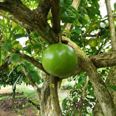 kclo5151's profile picture. 开开心心，快快乐乐过生活，不要把遗憾带进棺材！