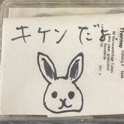 すぐに寂しくなってしまううさぎです。大陰唇は小さめ、小陰唇は大きめでお願いします。あ、乳輪も大きめでお願いします。
