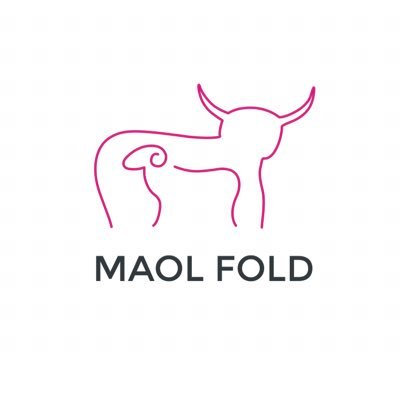 maolfold Profile Picture