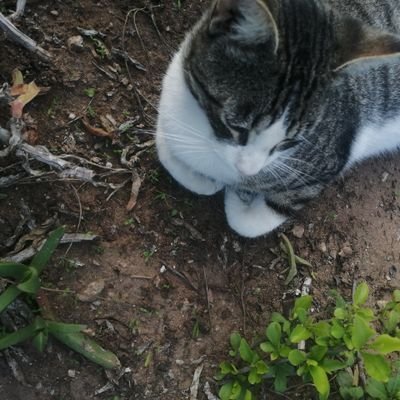 i96288422's profile picture. 42