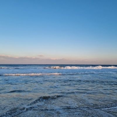 nancynj15's profile picture. Application Developer - Salesforce | Web Dev 😈