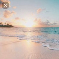 PPS 459 🌊 (@blueppa) 's Twitter Profile