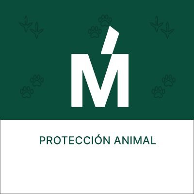 Grupo sectorial de Protección Animal de @MasMadrid__ Un movimiento por un Madrid mejor y una ciudadanía comprometida con el bien común.