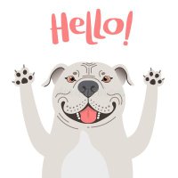 Staffs Bull (@staffsbull99) 's Twitter Profile