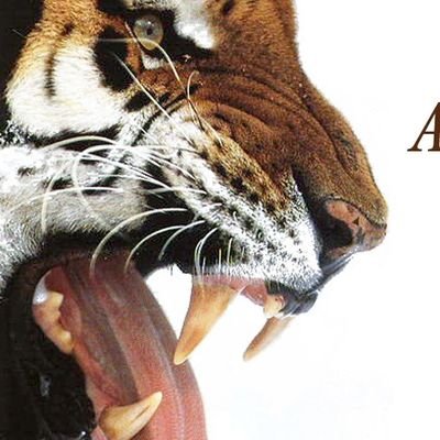 greatlights16's profile picture. ...a leopard shall watch over their cities: every one that goeth out thence shall be torn to pieces...Jer.5:6