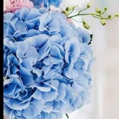 EmilyLintoco's profile picture. You can't be strong at all time.Sometimes you have to be alone and let your tears out.