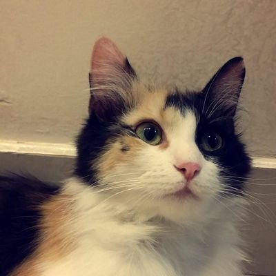 BINGO_8O's profile picture. 