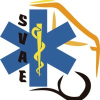 Grupo de Trabajo SVAE SEMES(@SVAE_SEMES) 's Twitter Profile Photo
