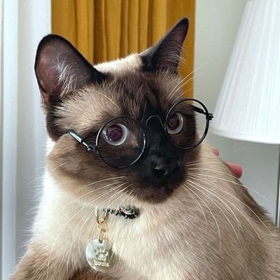 Teumezen_08's profile picture. Teumezen