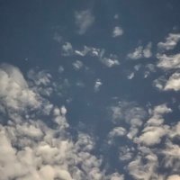 عيون المها (@ywnalmh40955587) 's Twitter Profile Photo عيون المها (@ywnalmh40955587) 's Twitter Profile Photo